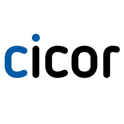 Cicor Group