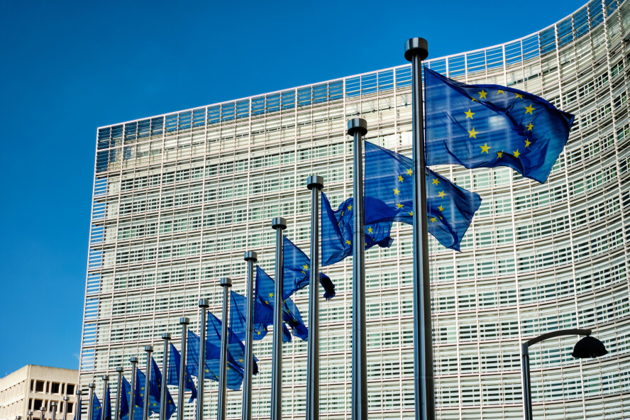 Flags in front of a building in brussels